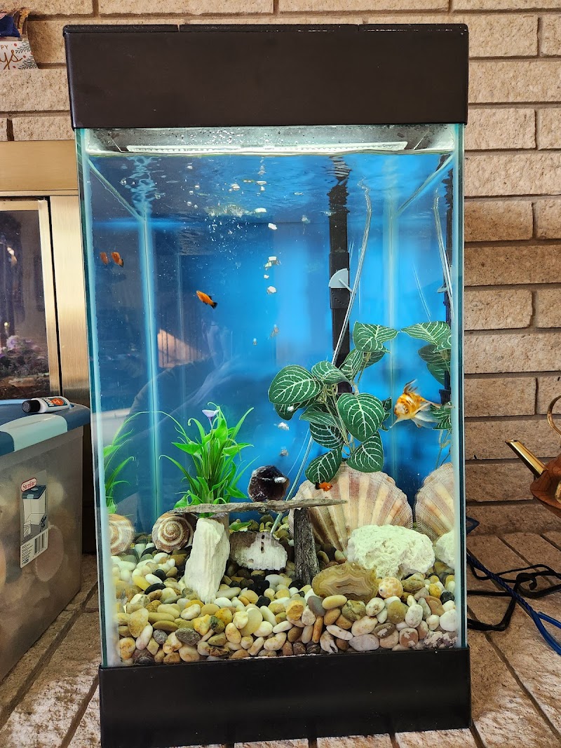 Michigan Aquarium Services - Photo 5