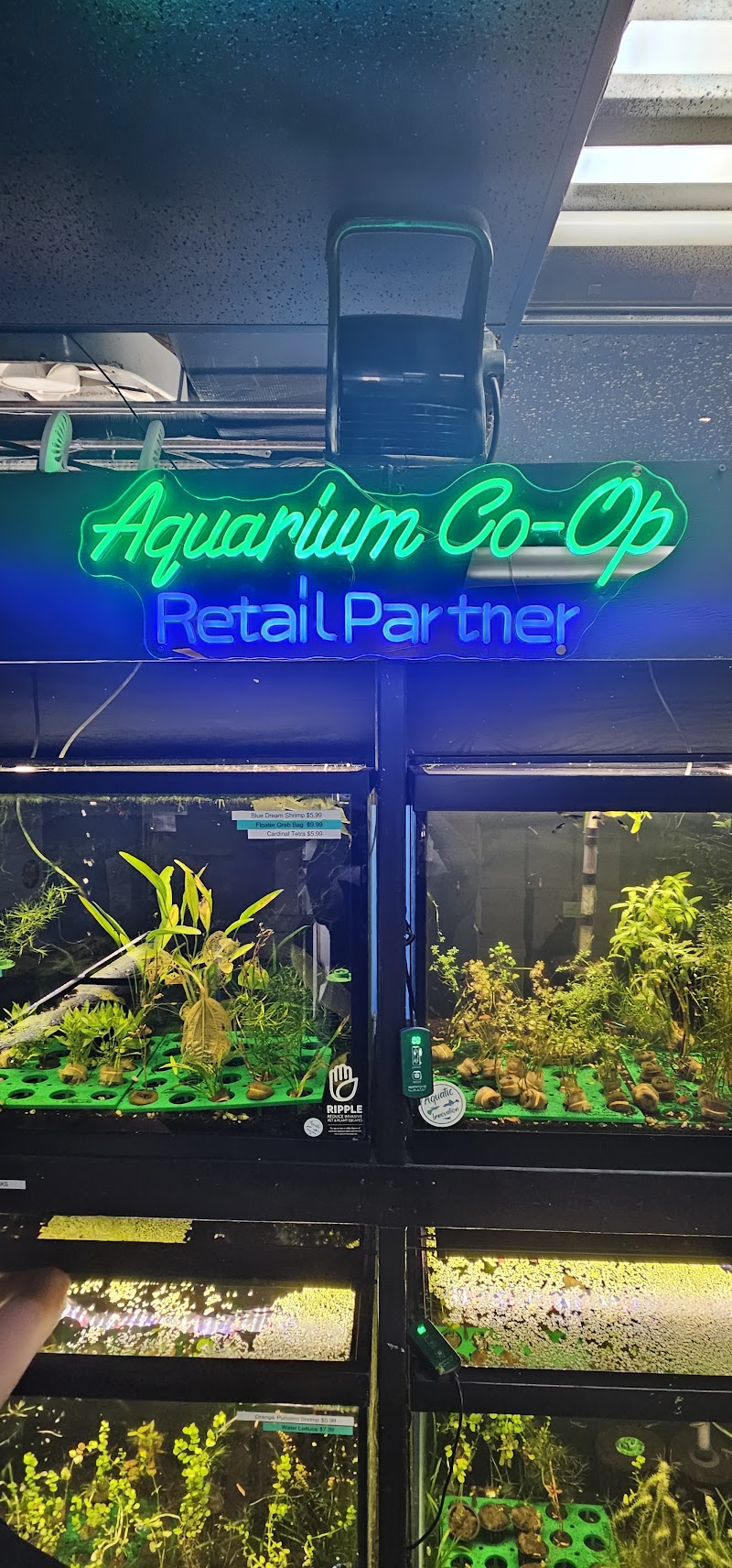 Aquatic Innovation - Photo 1