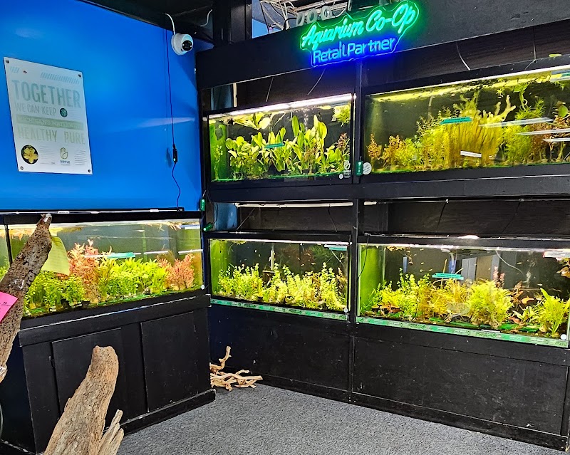 Aquatic Innovation - Photo 4