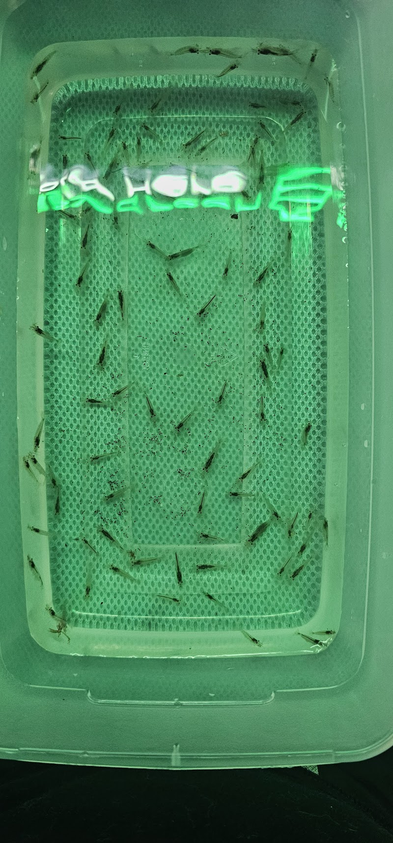 Aquatic Innovation - Photo 5