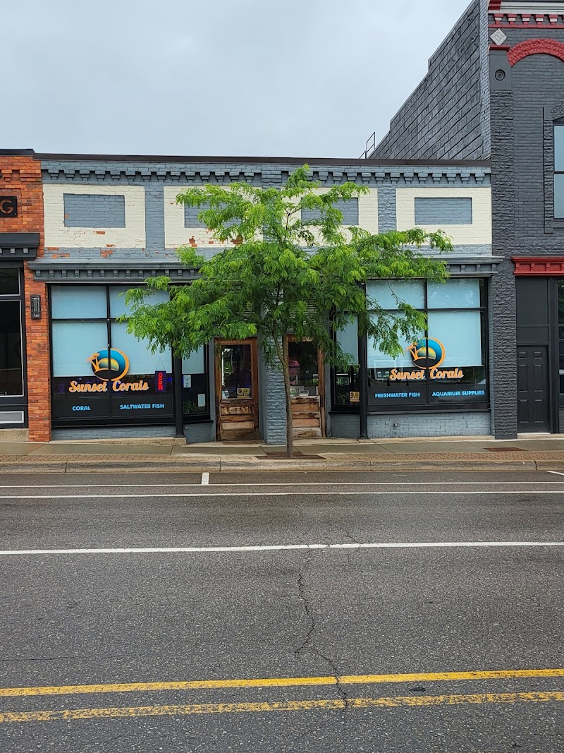 Sunset Corals - Photo 1