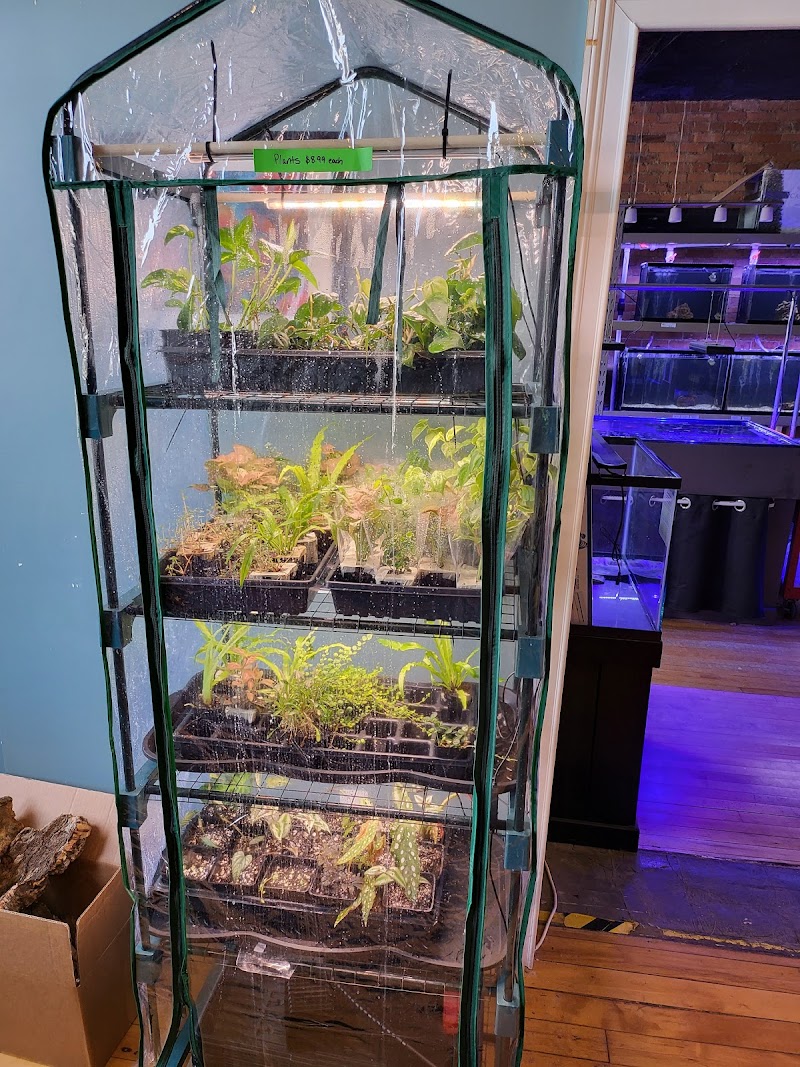 Sunset Corals - Photo 3