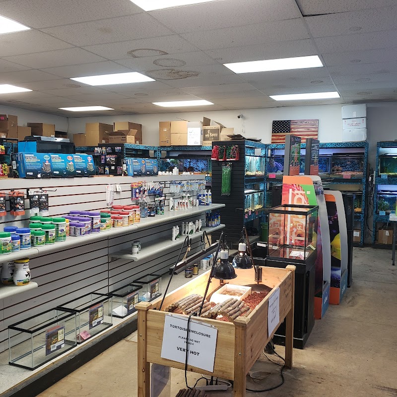 Somethin's Fishy Pet Shop Inc - Photo 2