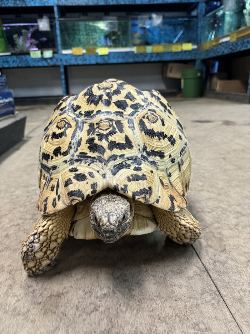 Somethin's Fishy Pet Shop Inc - Photo 3