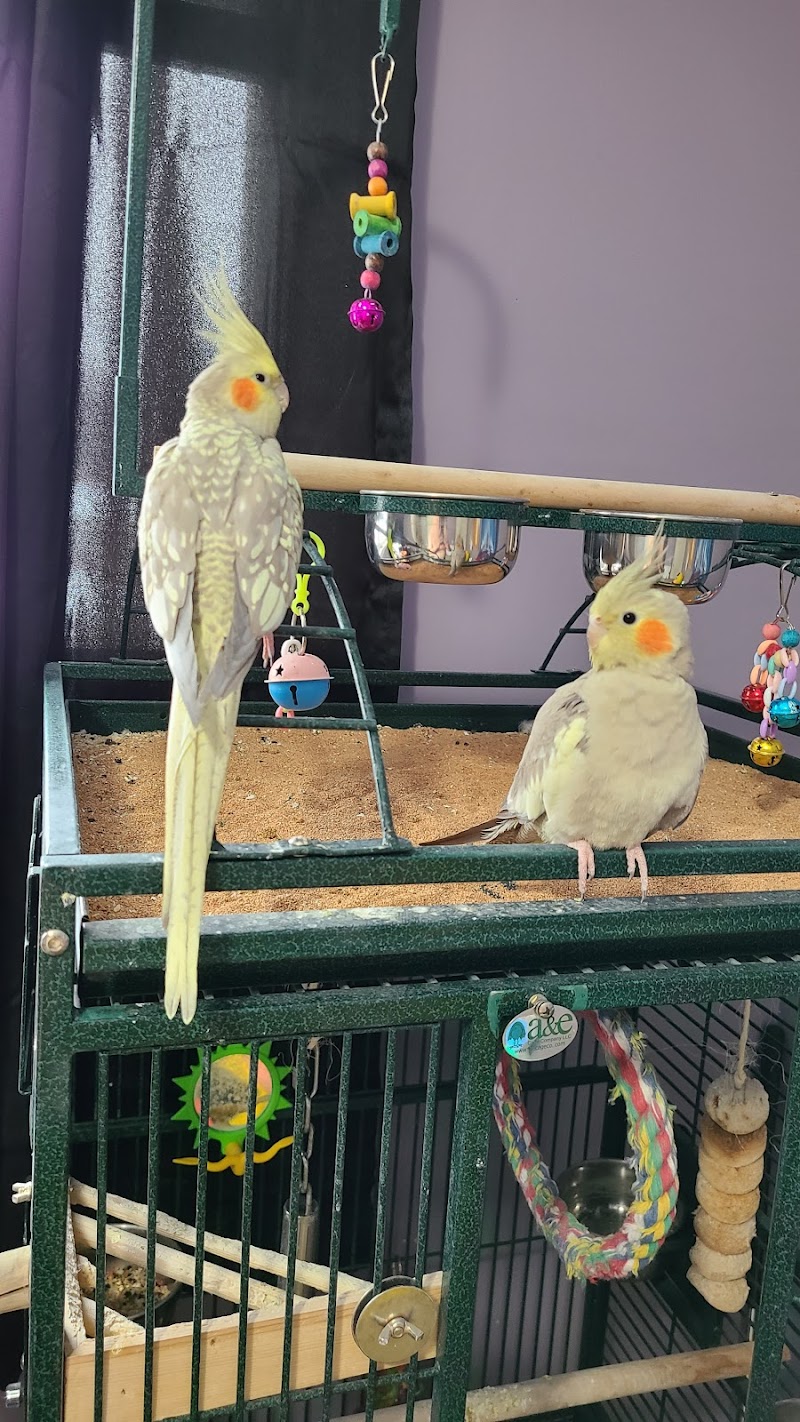 Highland Tropical Fish & Bird Haven - Photo 3