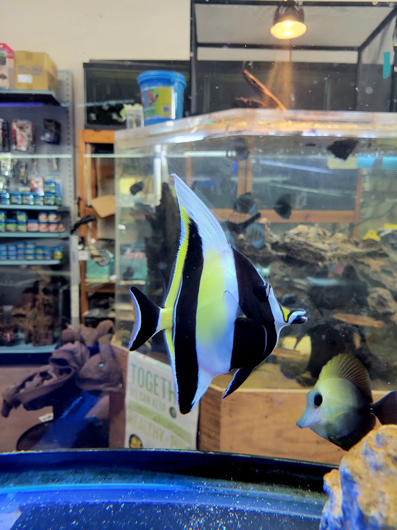 Fins & Filters -Pet Suppliers - Photo 2