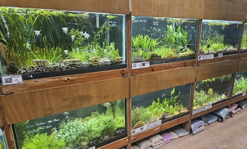 Fins & Filters -Pet Suppliers - Photo 3