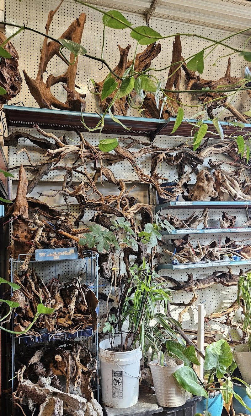 Fins & Filters -Pet Suppliers - Photo 4