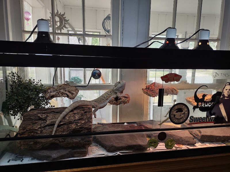 Moby Dick Pet Store Inc - Photo 2