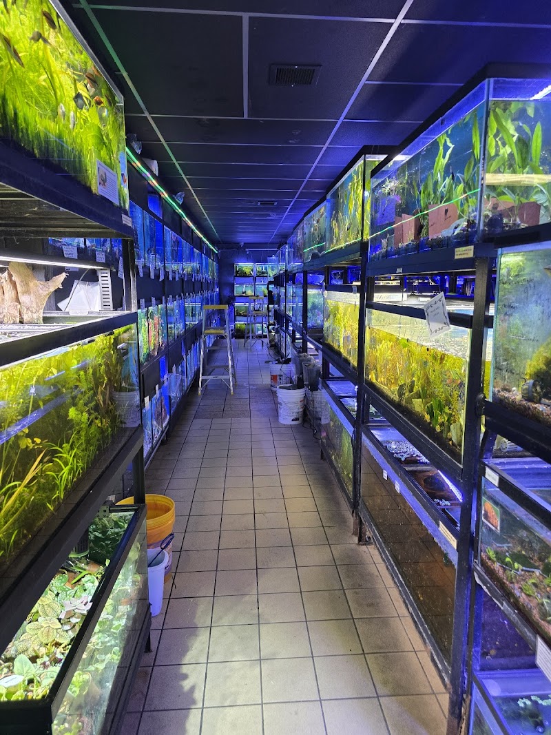 Moby Dick Pet Store Inc - Photo 4