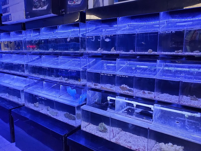 Atlantis Fish Shoppe - Photo 5