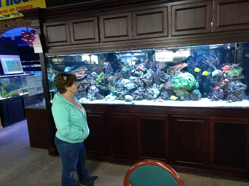 Aquallations - Photo 3