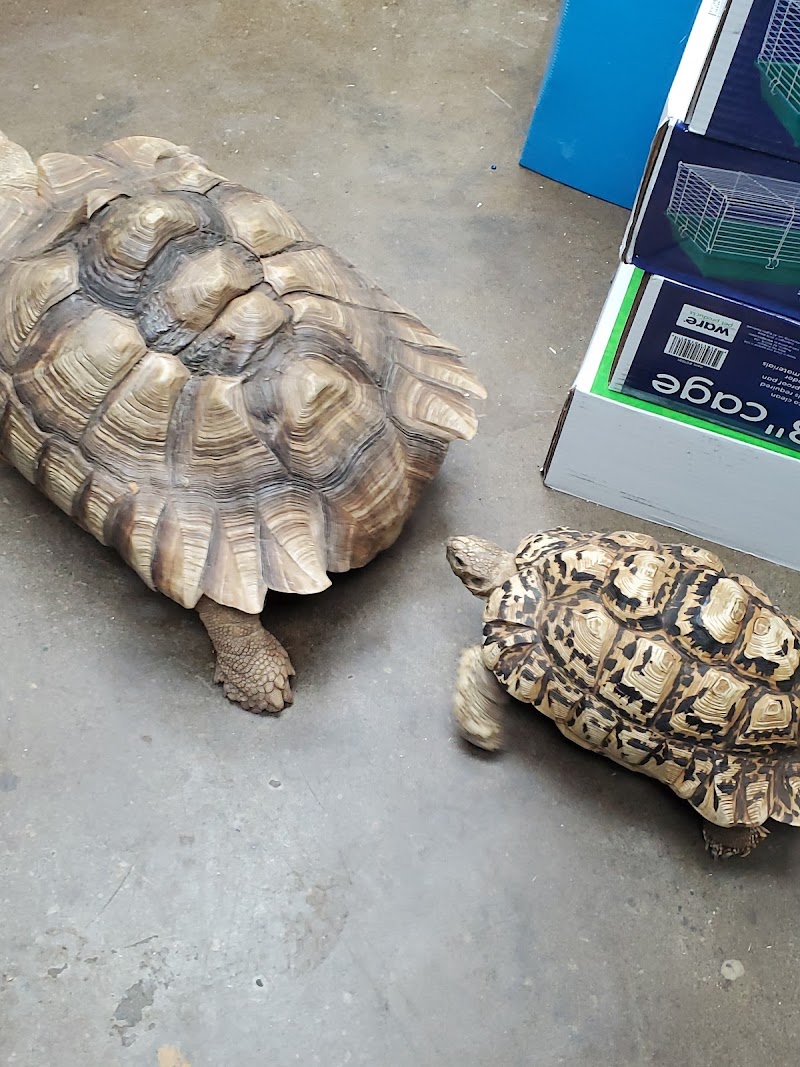 Lou's Pet Shop - Photo 3