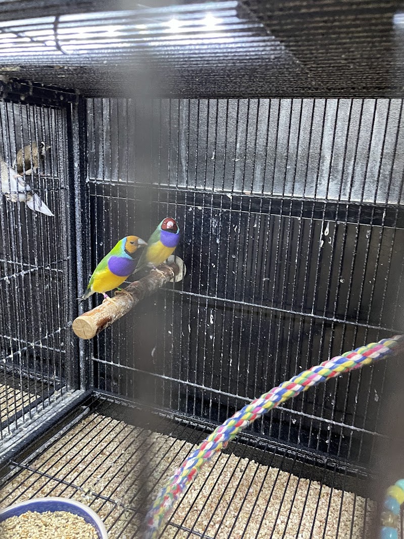 Lou's Pet Shop - Photo 4