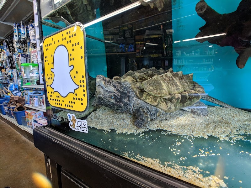 Lou's Pet Shop - Photo 5