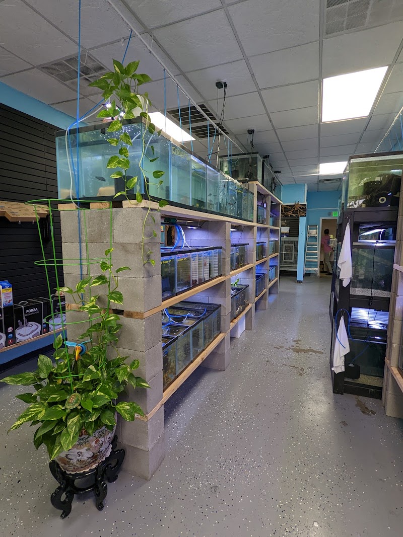 Chris's Pet Store - Photo 2