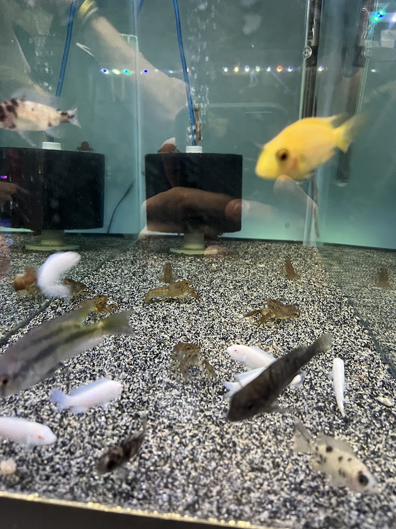 Chris's Pet Store - Photo 3