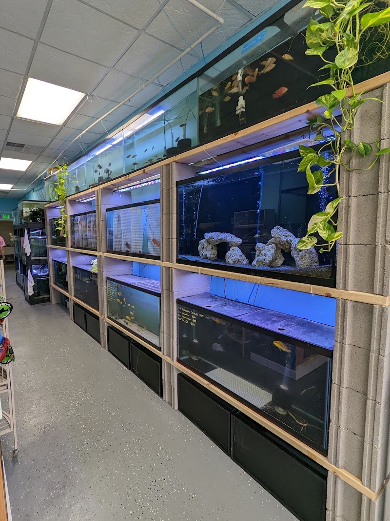 Chris's Pet Store - Photo 5