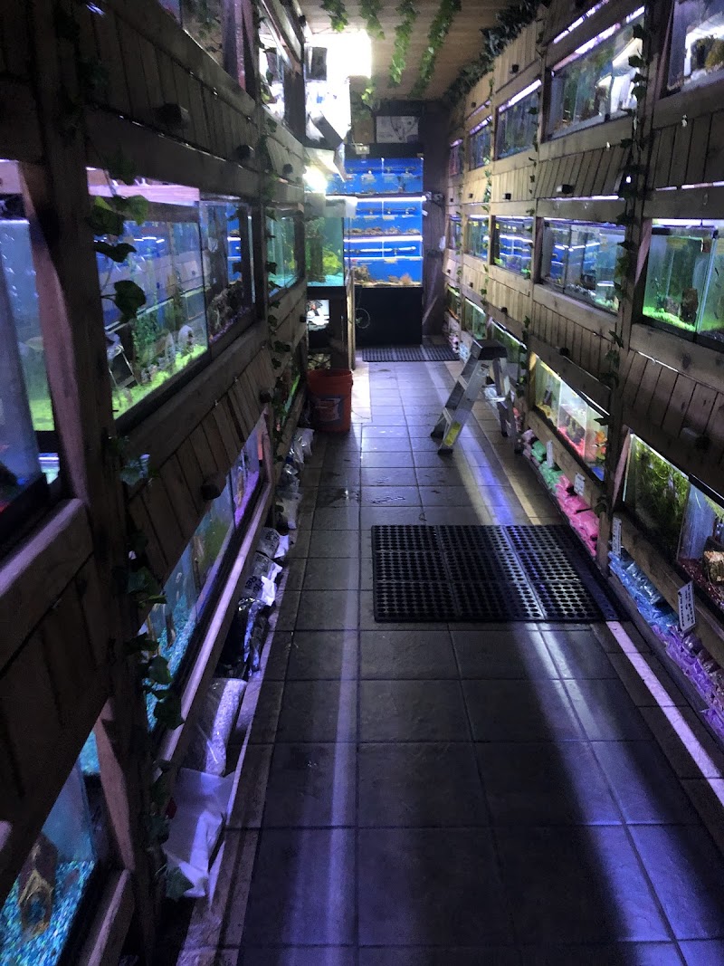 Critter Pet Shop - Photo 3