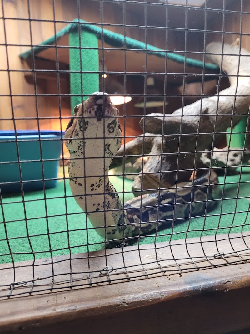 Critter Pet Shop - Photo 4