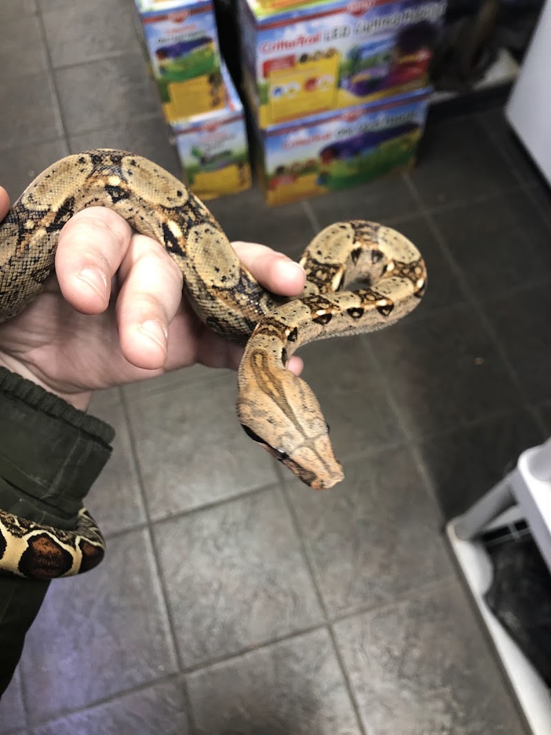 Critter Pet Shop - Photo 5