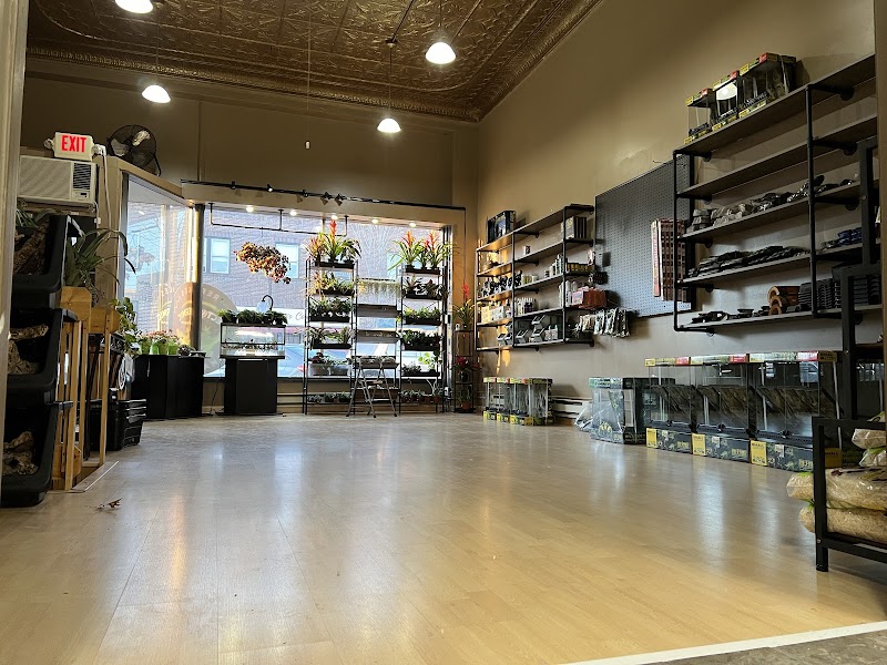 Ectothermic Nirvana - Photo 2