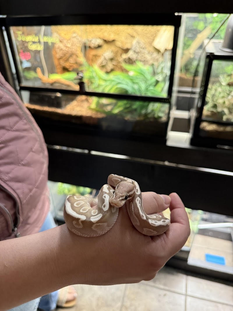 Ectothermic Nirvana - Photo 3