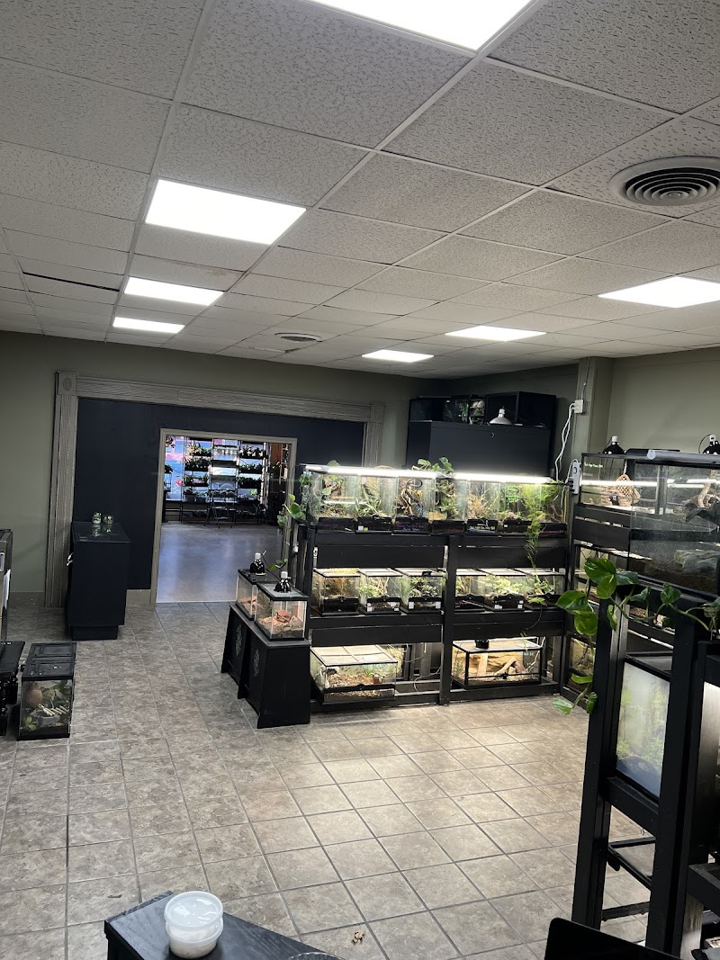 Ectothermic Nirvana - Photo 4