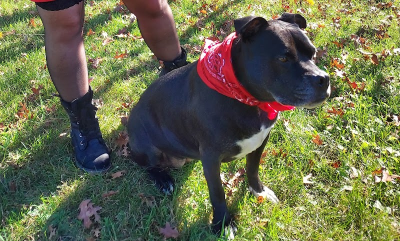 The Animal House - Photo 2