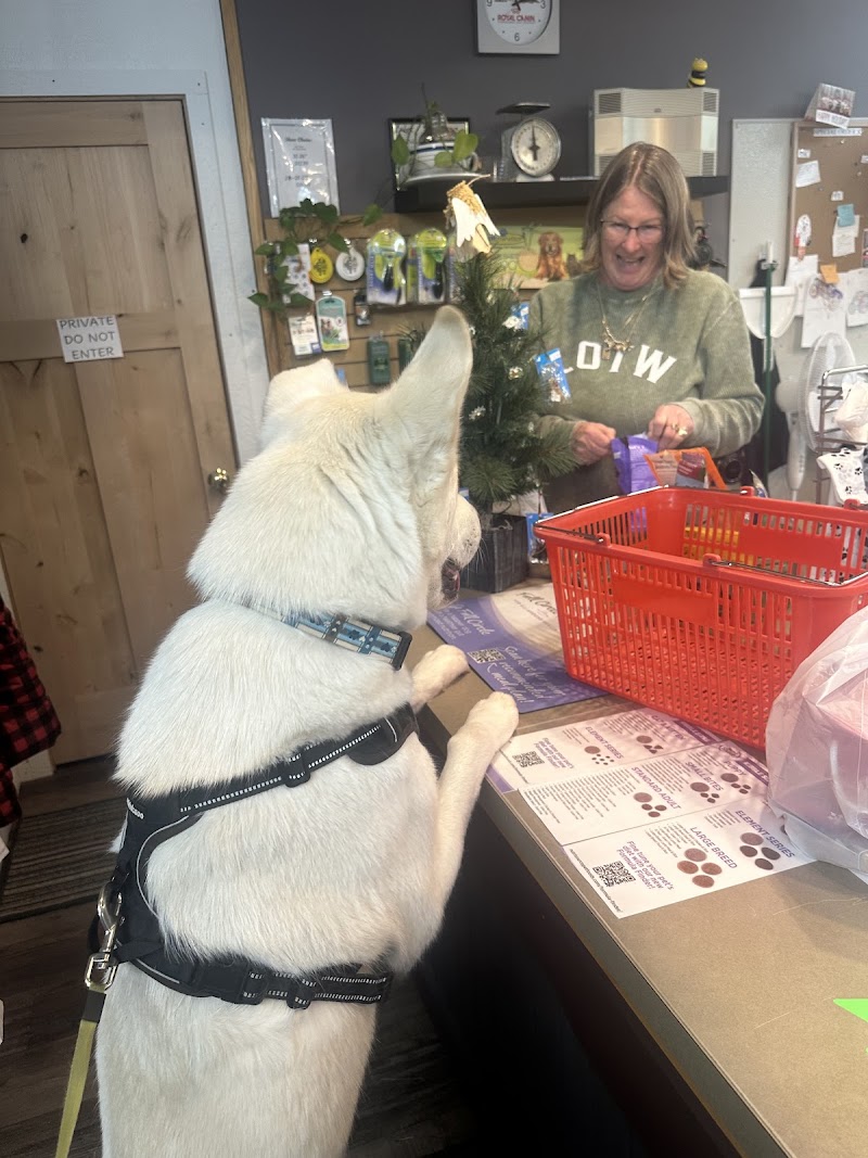 The Animal House - Photo 3