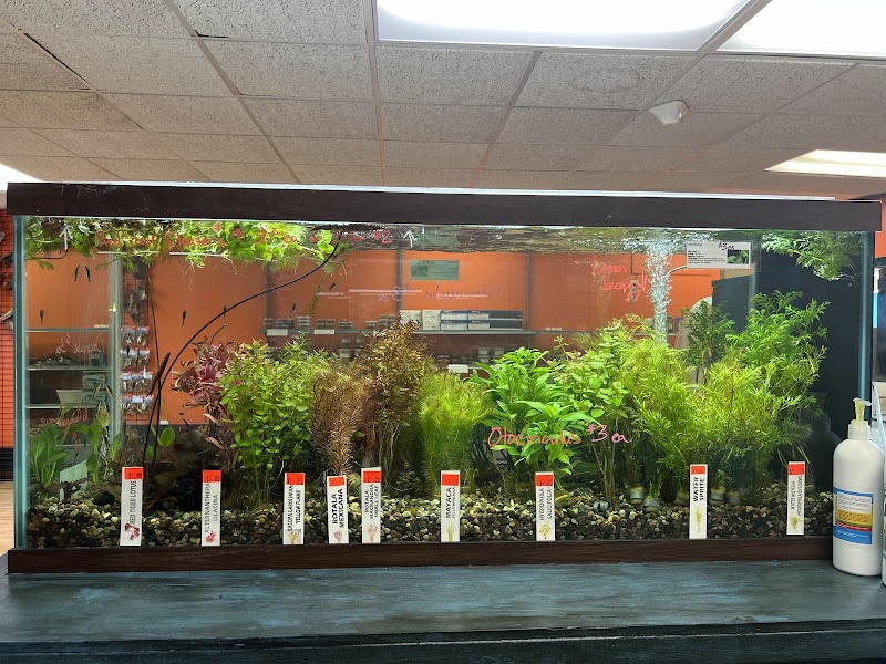 Granite City Aquaria - Photo 1