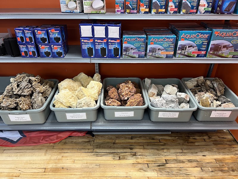 Granite City Aquaria - Photo 2