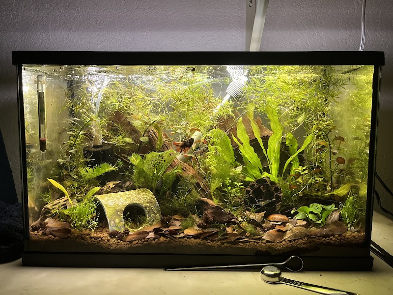 Granite City Aquaria - Photo 3