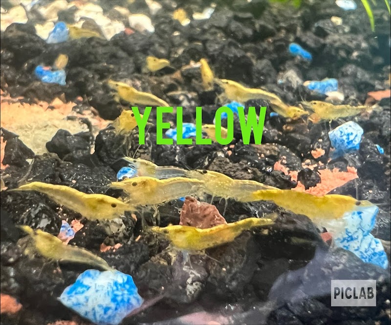 Granite City Aquaria - Photo 4