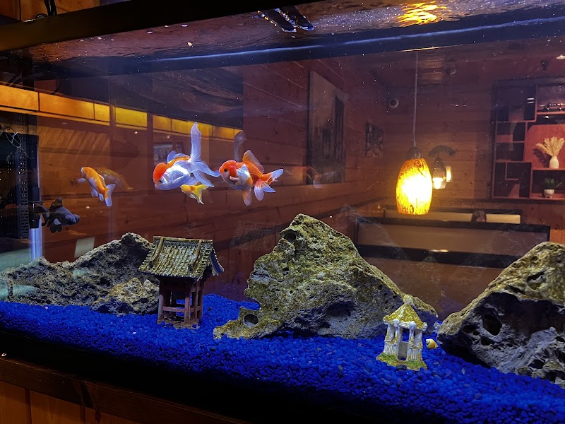 The Tropical Fish Shoppe Inc. - Photo 5