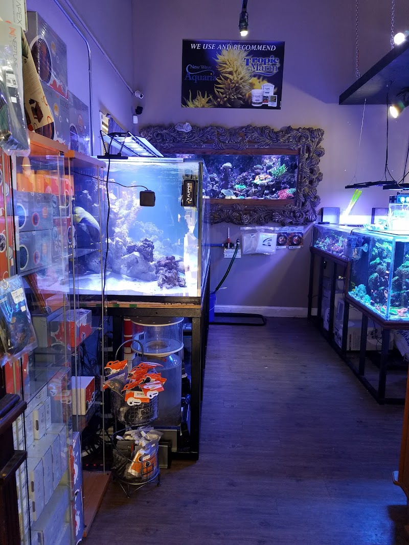 New Wave Aquaria - Photo 3