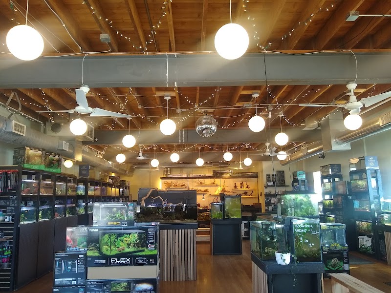 Rivershore Aquariums - Photo 1