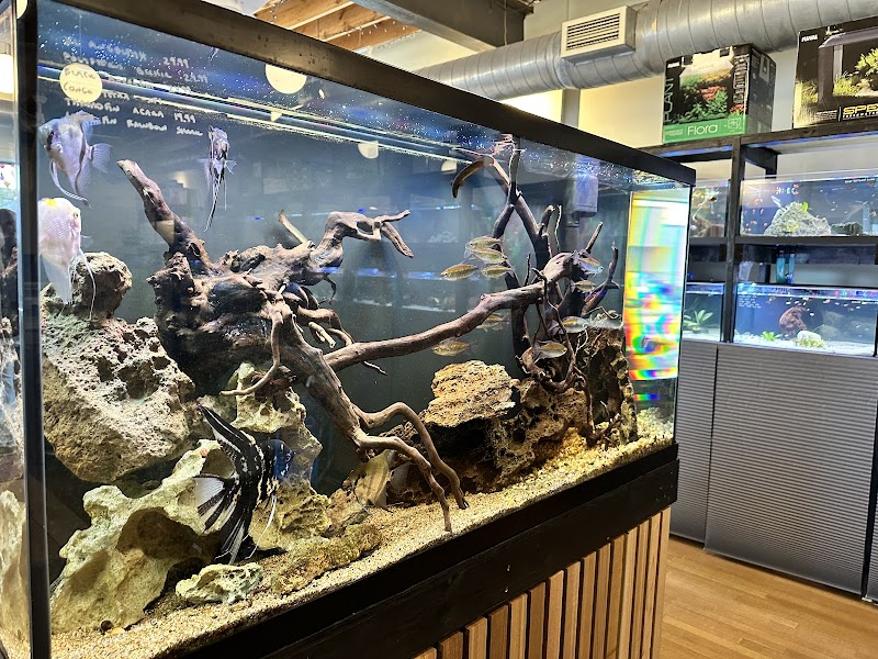 Rivershore Aquariums - Photo 3