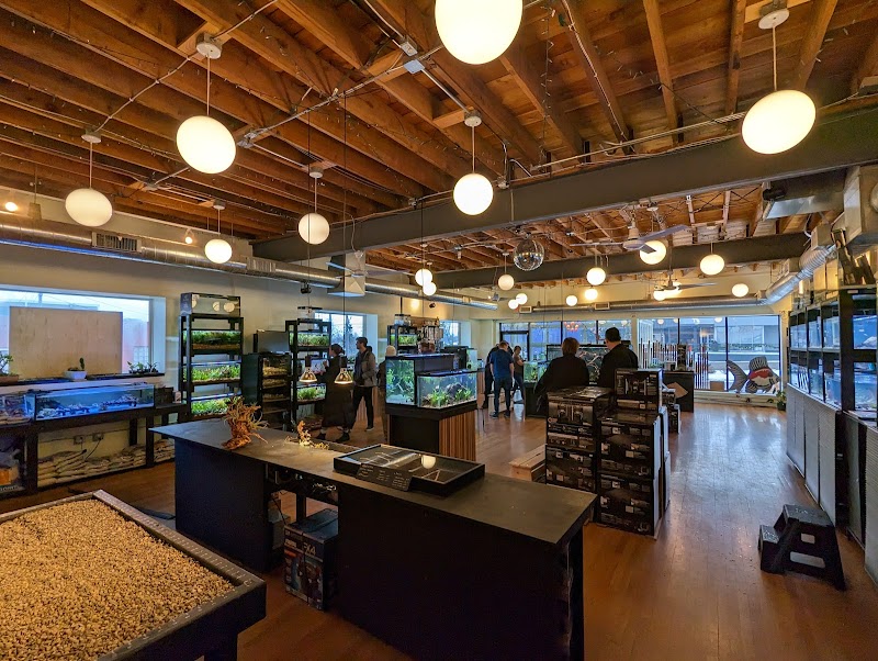 Rivershore Aquariums - Photo 4