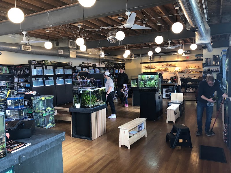 Rivershore Aquariums - Photo 5