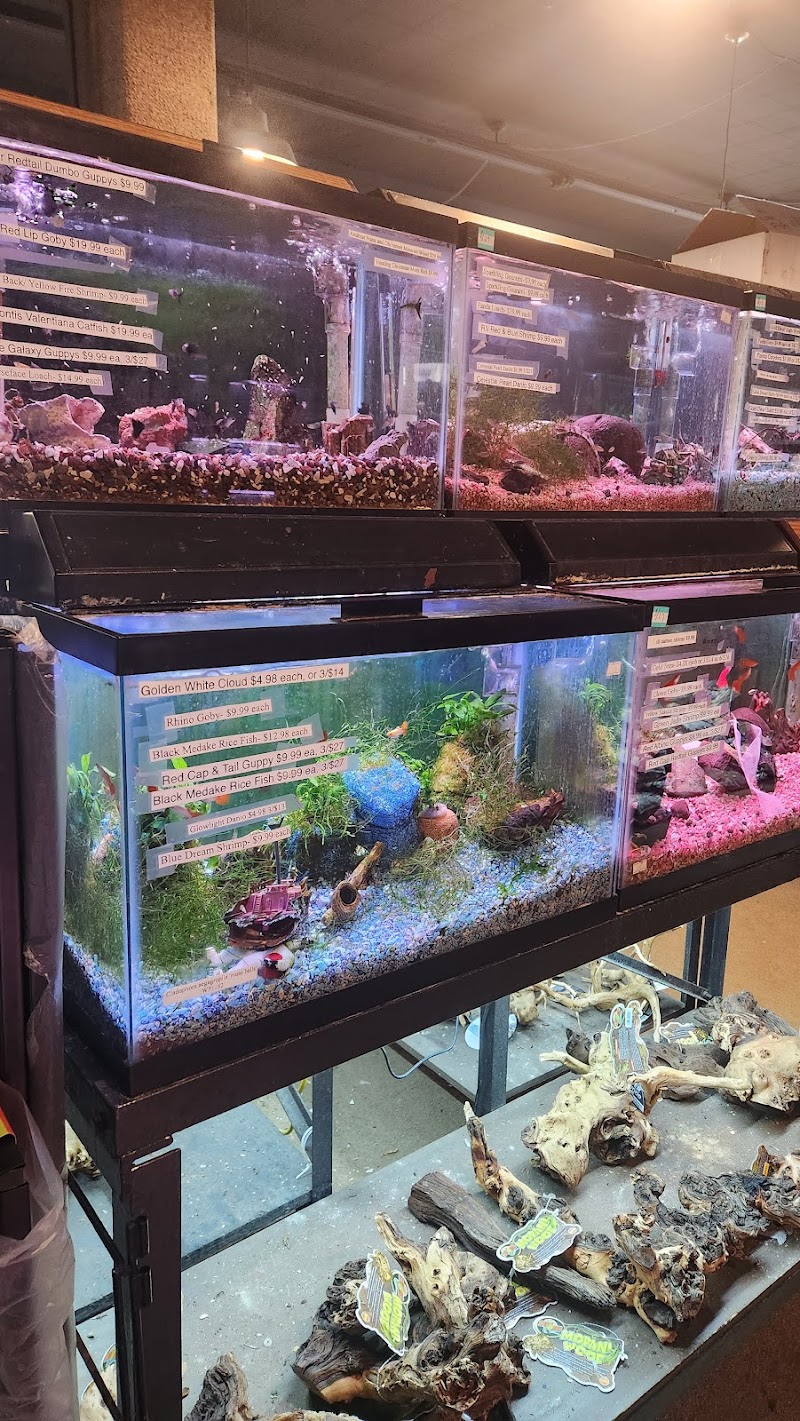 Aqualand Aquarium Center - Photo 3