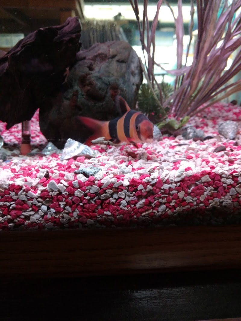 Aqualand Aquarium Center - Photo 4