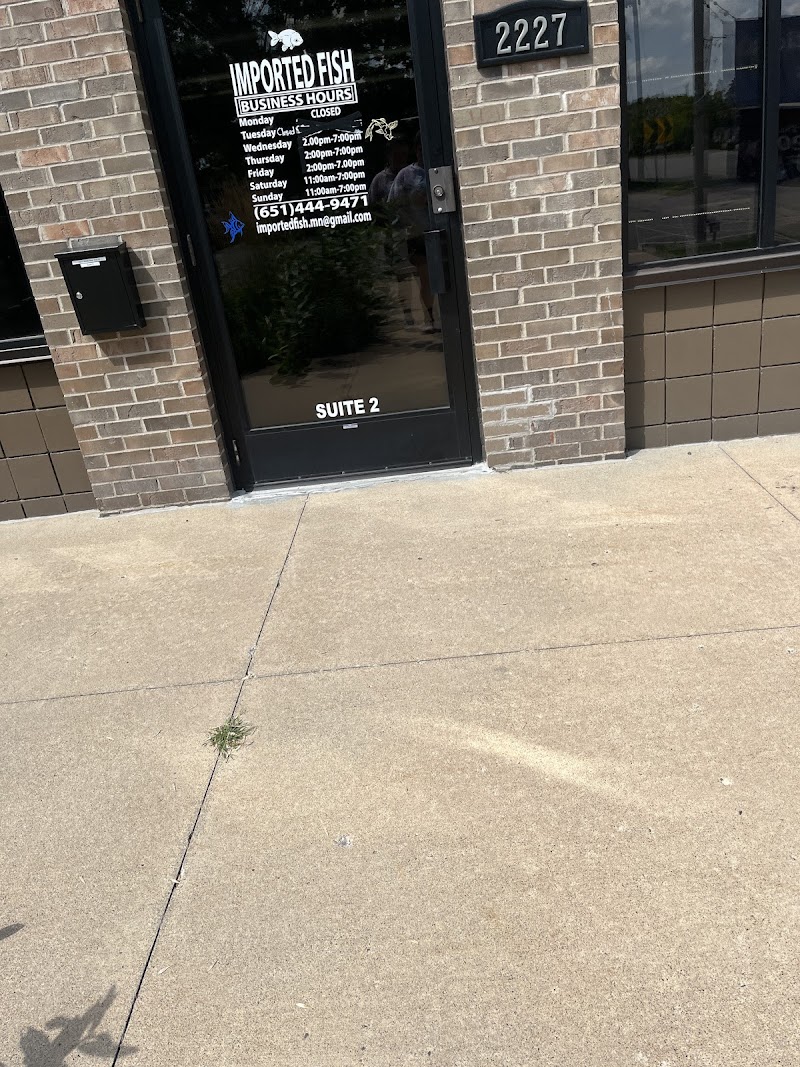 Imported Fish - Photo 1