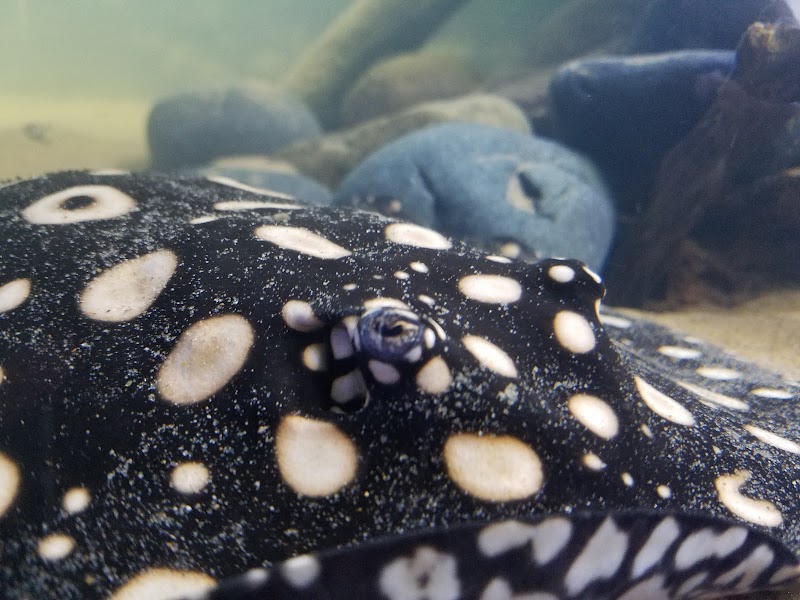 Premier Aquarium Service - Photo 4