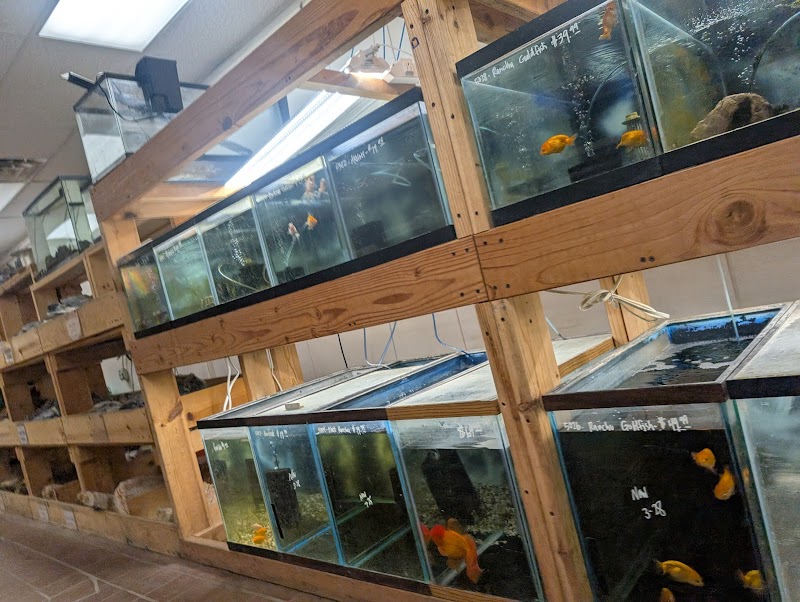 Quality Aquatics Pet Shop - Photo 1