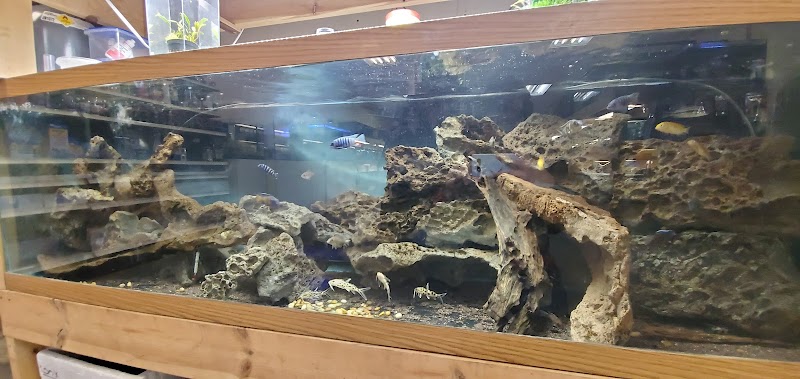 Quality Aquatics Pet Shop - Photo 3