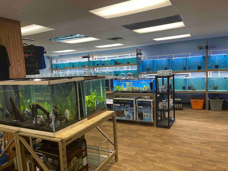 Pure Fish Works - Photo 1