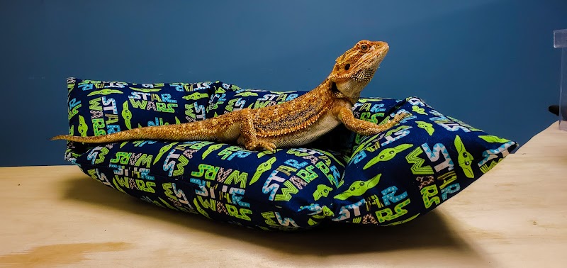 Pure Fish Works - Photo 3