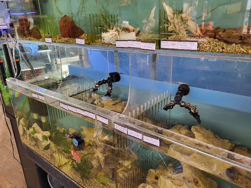 Pure Fish Works - Photo 4