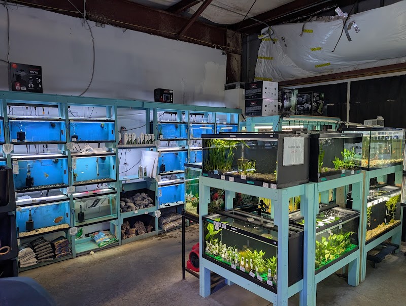 Reef Life Aquariums - Photo 3